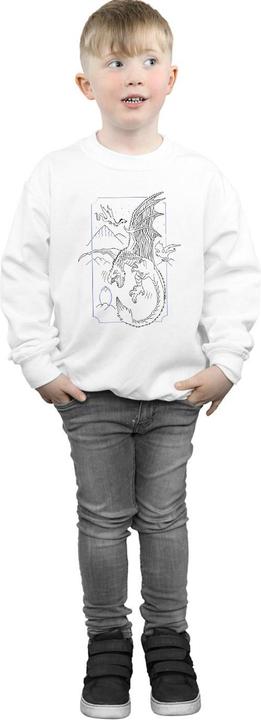 Actual product image Boys Dragon Line Art Sweatshirt (140, 146)