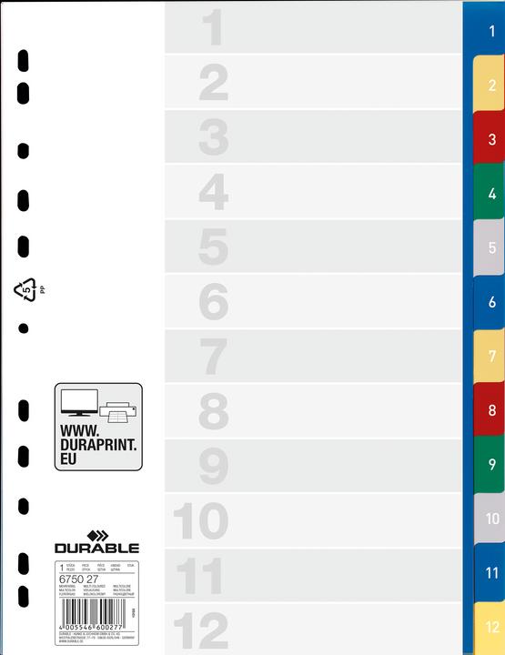 Produktbild Durable PP-Register, diverse Ausführungen, einzeln