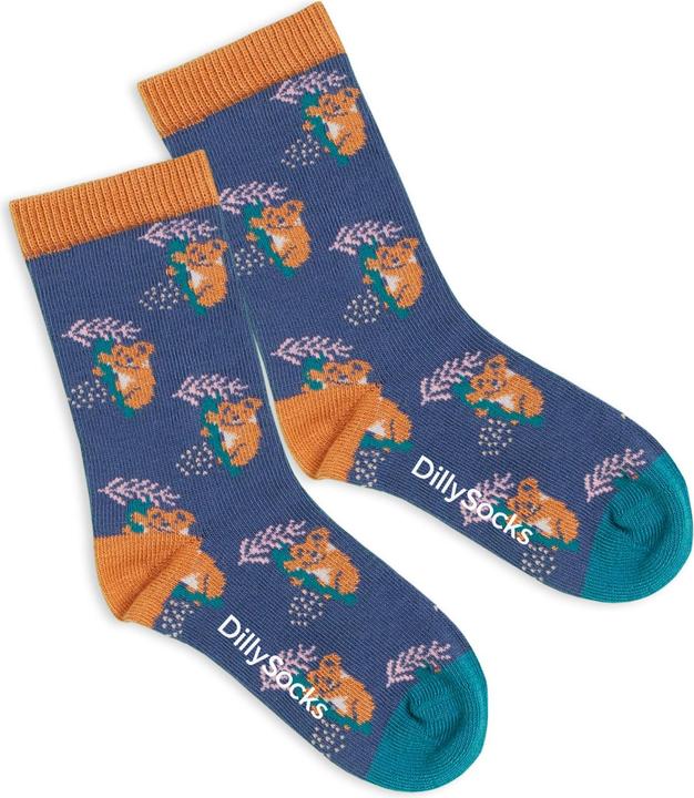 Produktbild DillySocks Kindersocken Lil Comfy Koala (Einzelpack, 23 - 26)