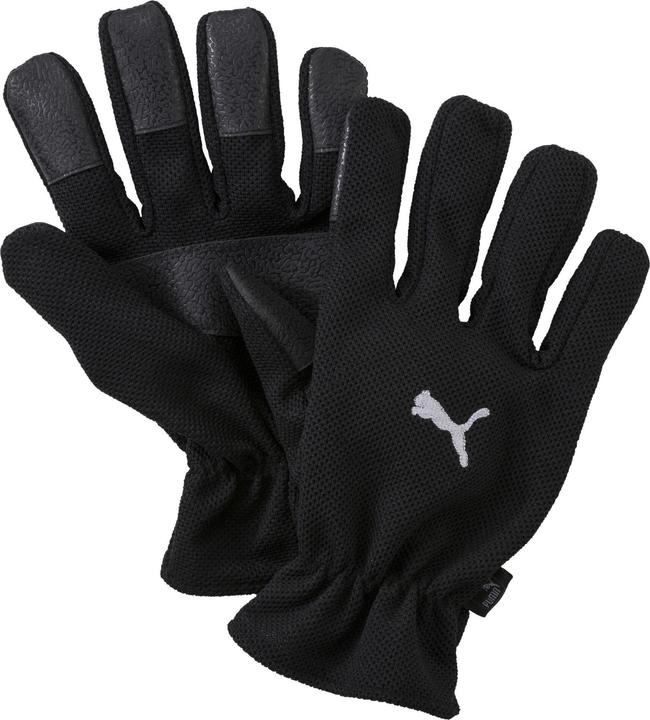 Puma Winter Players