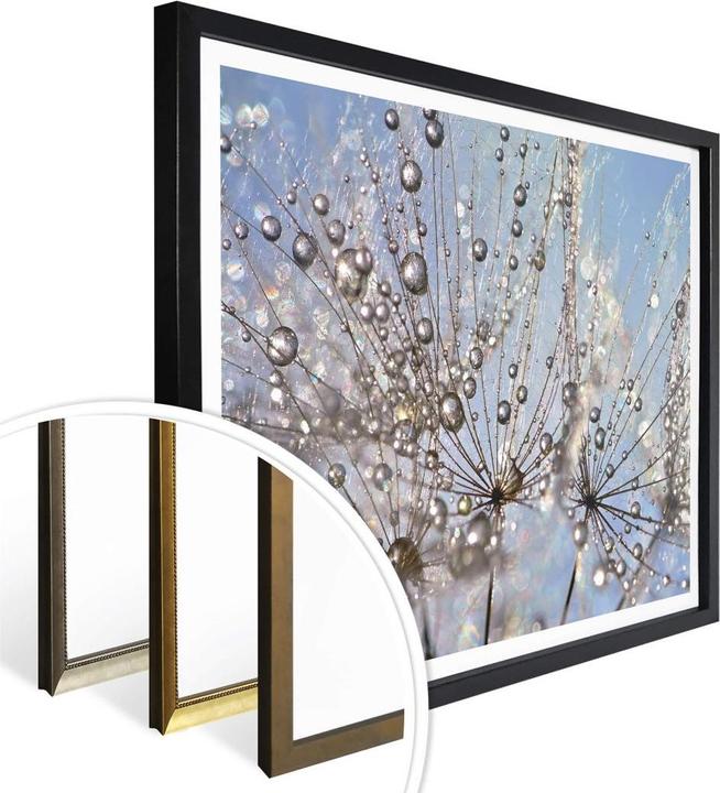 Image du produit Trenddeko Goutte d'eau dans le pissenlit (80 x 60 cm)