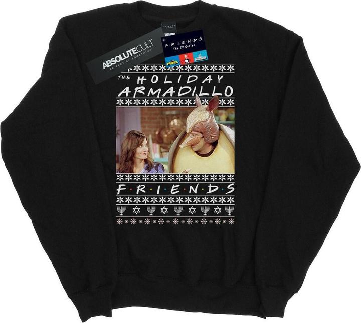 Friends Fair Isle Holiday Armadillo Sweatshirt