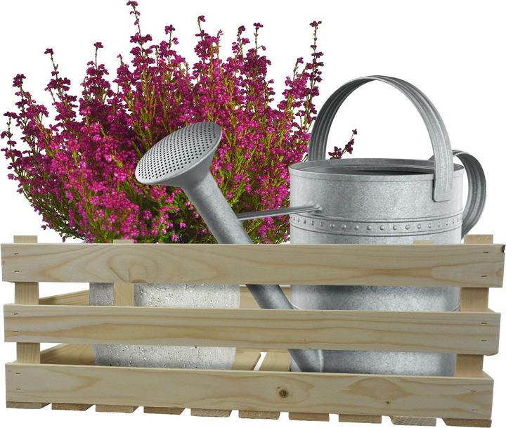 Produktbild Natura Punto Holzkisten Harassen 2er Set natur