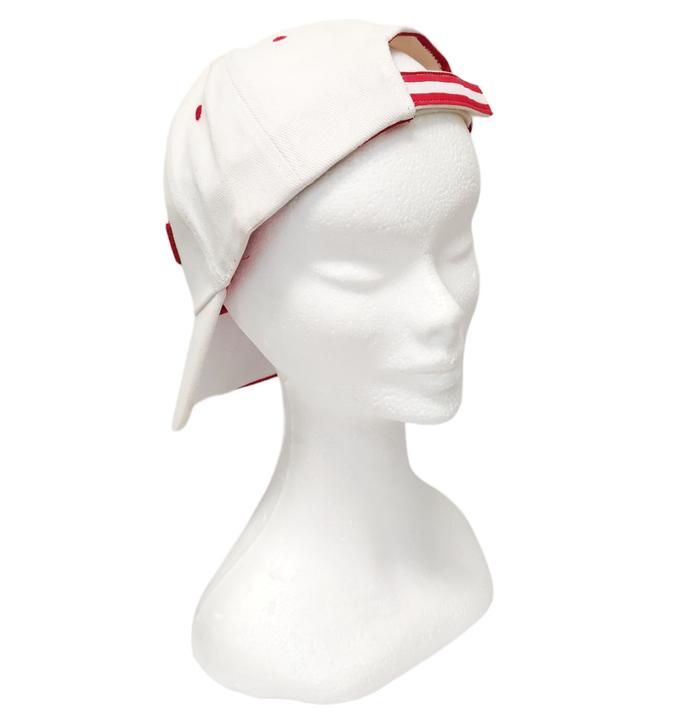 Produktbild Daiber Flag Cap Österreich