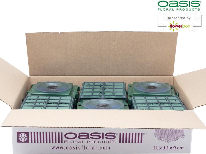 Immagine prodotto Oasis Auto-Corso