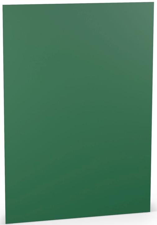 Rössler Coloretti foglio A4 160g Foresta in confezione da 10 (165 g/m², 1 x)