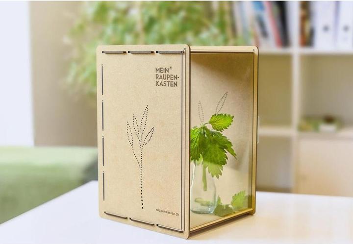 Actual product image Mein Raupenkasten Insect hotel caterpillar box (Butterflies)