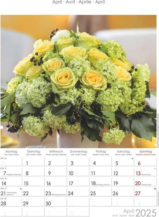Actual product image Alpha Edition Rosenträume 2025 picture calendar, 23,7x34cm, wall calendar with space for notes and (Hardcover, German, Italian, French, English)