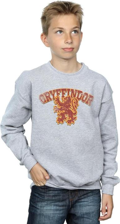 Immagine prodotto Gryffindor Sport Emblem Felpa Ragazzi (152, 158)
