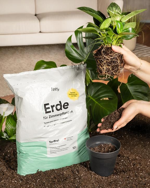 feey Erde (10 l, Erde ohne Torf)