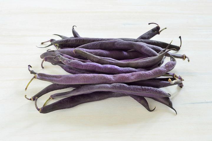 Image du produit Zollinger Bio Haricot nain, Purple Queen