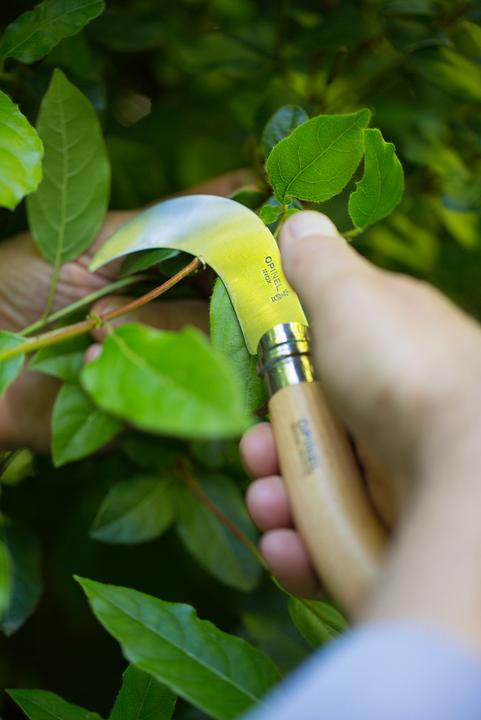 Image du produit Opinel N° 10 (8 cm)