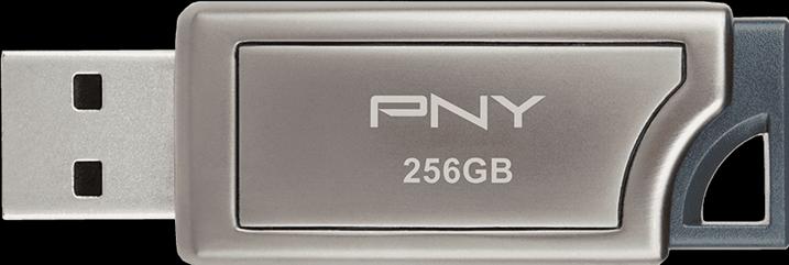 Actual product image PNY Pro Elite (256 GB, USB-A)