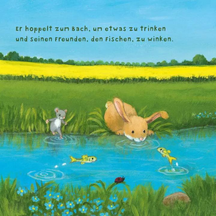 Produktbild Baby Pixi (unkaputtbar) 97: Der kleine Hase (Deutsch)