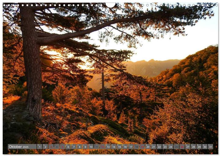 Actual product image Weitwandern auf Korsika GR 20 (Wandkalender 2025 DIN A3 quer), Monatskalender (A3, German)