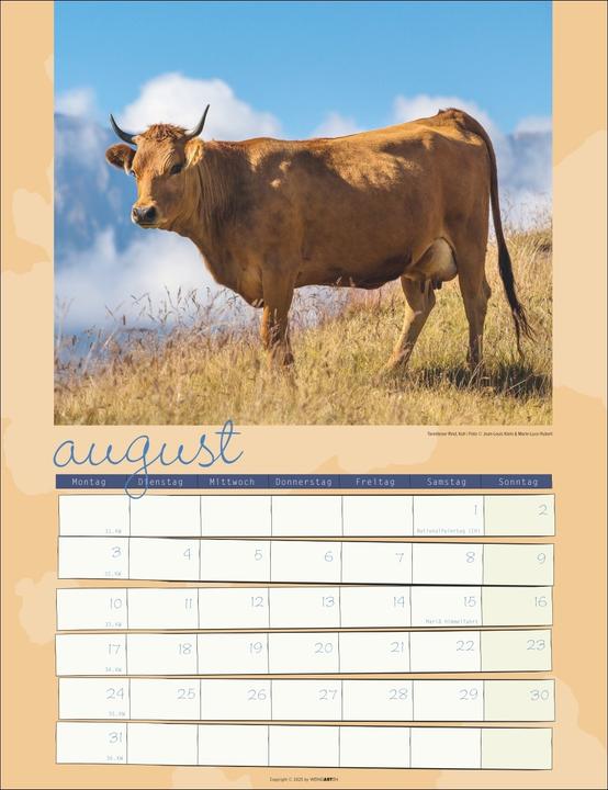 Produktbild Kuh Kalender 2026 (30 x 39 cm, Deutsch)