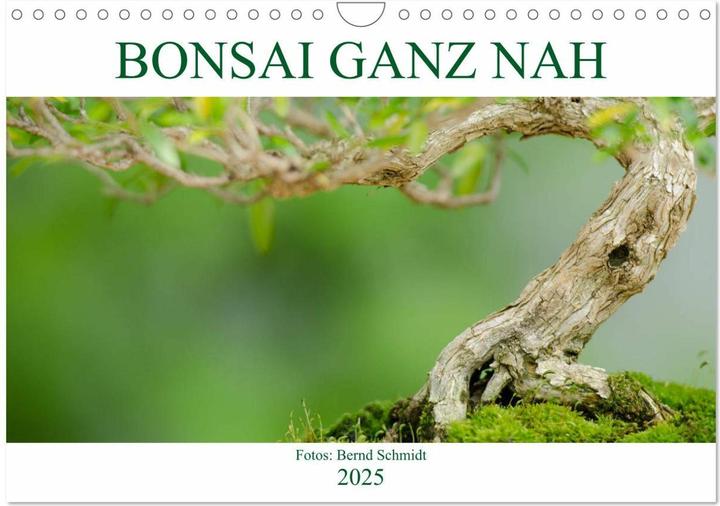 Produktbild Bonsai ganz nah (Wandkalender 2025 DIN A4 quer), Monatskalender (A4, Deutsch)