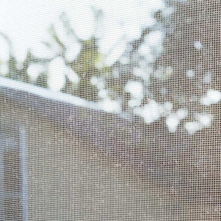 Immagine prodotto Siena Garden Fliegengitter 1,5 m x 1,8 m weiss für Fenster mit Klettband