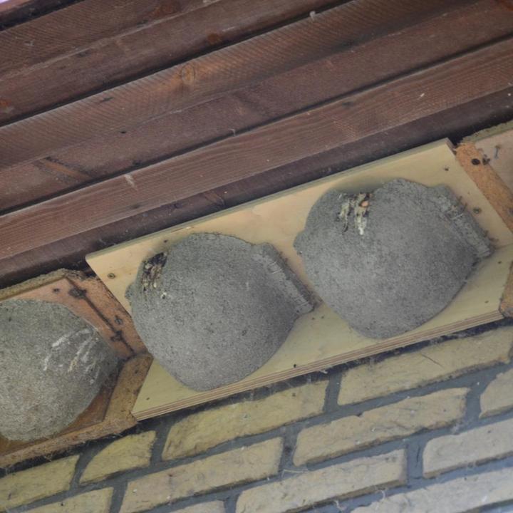 Immagine prodotto Siena Garden Casa Martins Doppio nido