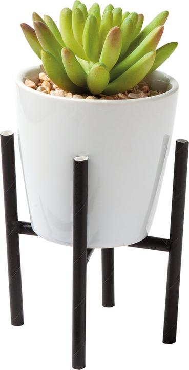 Actual product image Folia Straws (25 x)