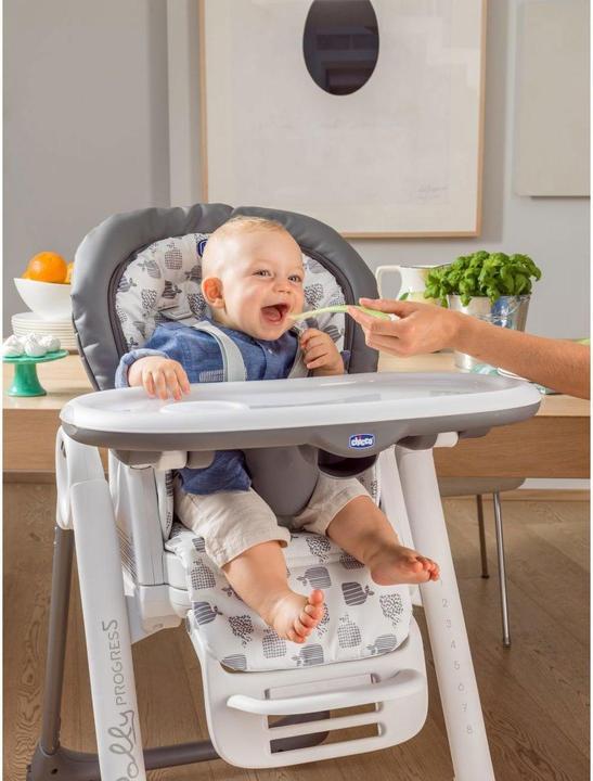 Actual product image Chicco Polly Progres5 (Highchair)
