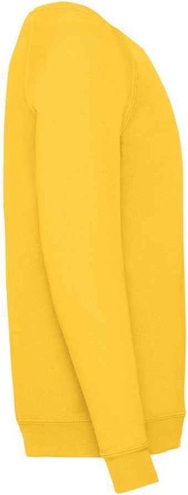 Produktbild Fruit of the Loom Sweatshirt Raglanärmel (116)