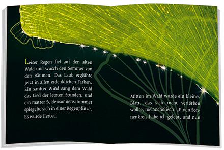 Produktbild Das Märchen vom Ginkgoblatt (Deutsch, Ulrich Peters, 2020)