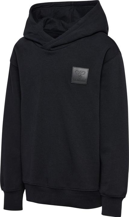 Image du produit hummel hmlCLEAN HOODIE (146)