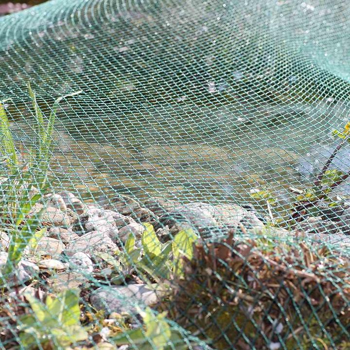 Immagine prodotto Siena Garden Rete di copertura dello stagno
