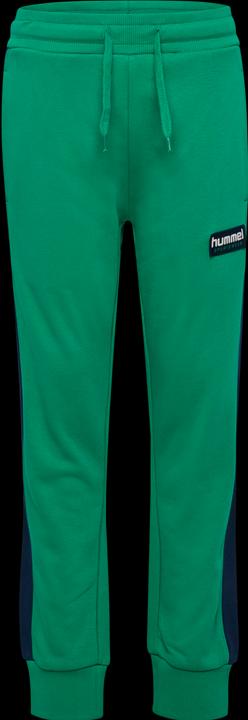 Actual product image hummel hmlDIXEN PANTS (134)