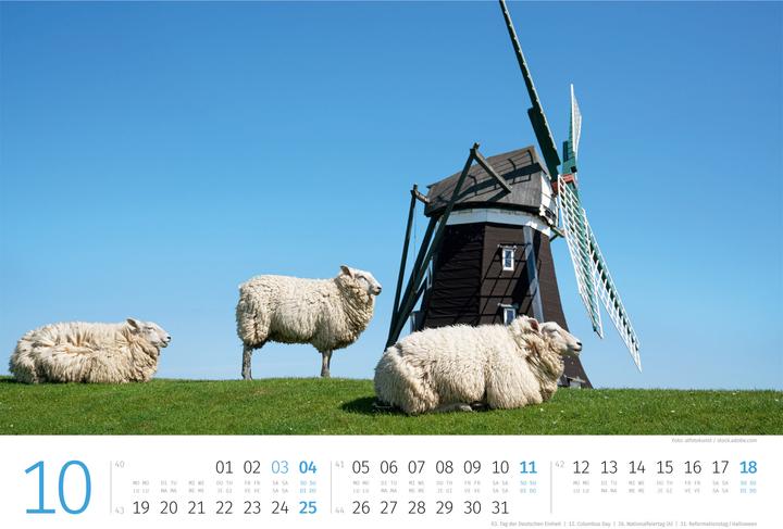 Produktbild Schafe Kalender 2026 (45 x 33 cm, Harter Einband, Deutsch, Französisch, Italienisch, Englisch)