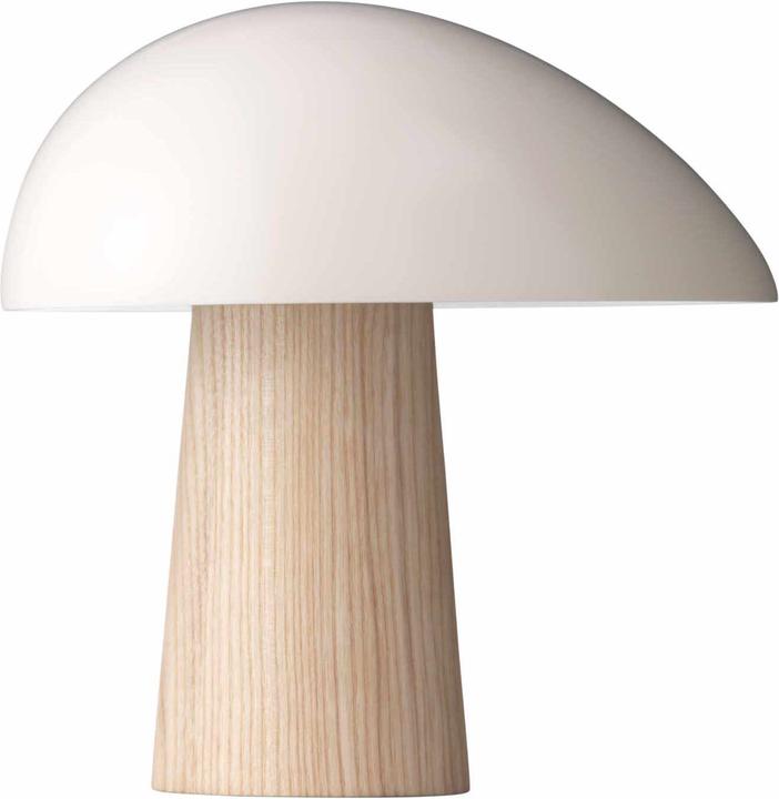 Actual product image Fritz Hansen Night Owl (E27)
