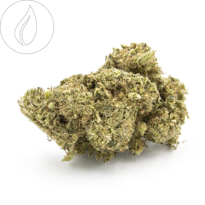 Actual product image Hempy Indoor No.1 (42.85 g, Indoor)