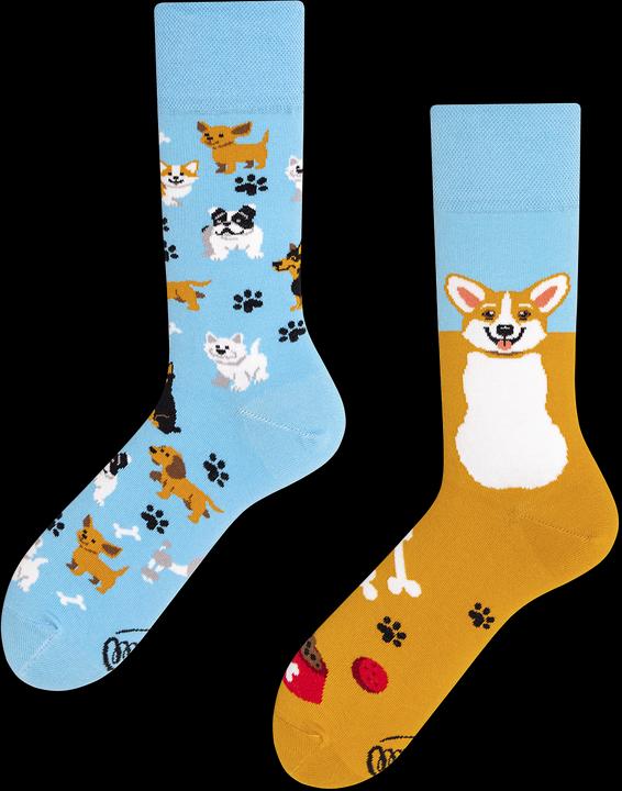 Produktbild Many Mornings Playful Dog (Einzelpack, 35 - 38)