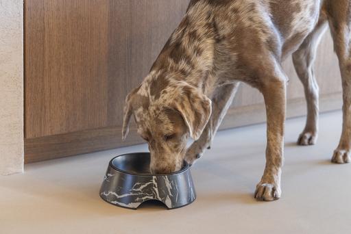 Immagine prodotto Designed by Lotte Ciotola per cani Meis (0.70 l)