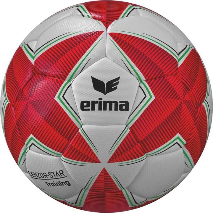 Erima SENZOR-STAR Training (3)