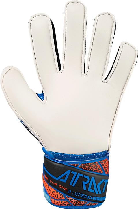 Immagine prodotto Reusch Football Attrakt Solid (7.5)