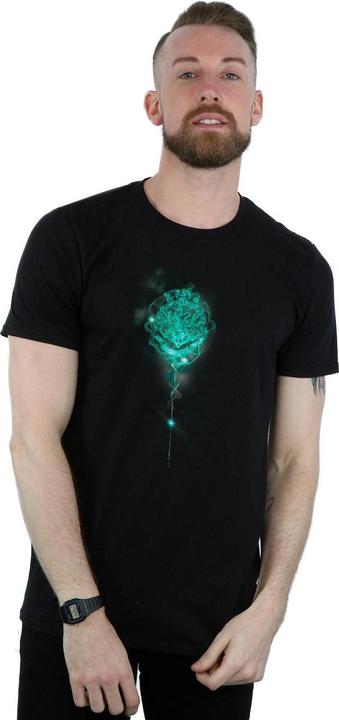 Produktbild Hogwarts Crest Mist TShirt (L)