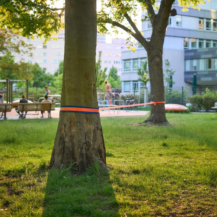 Produktbild Sport-Thieme Slackline-Set Allround (15 m)