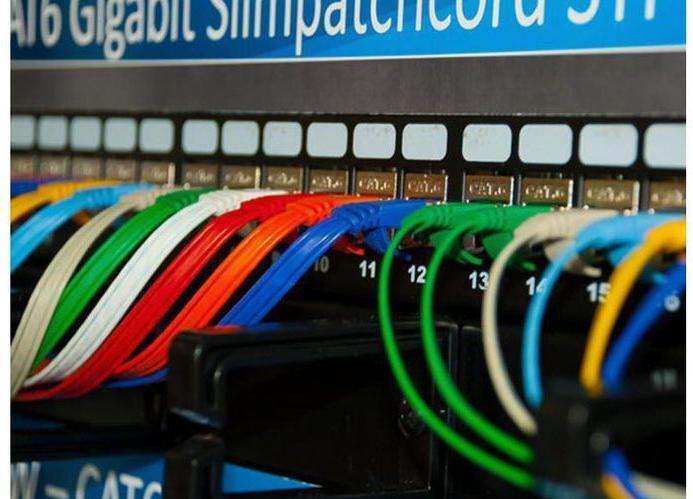 Actual product image Wirewin Network cable (UTP, CAT6, 0.50 m)
