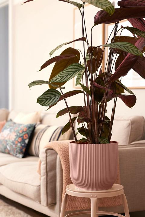 Actual product image Elho Vibes (29.50 cm)