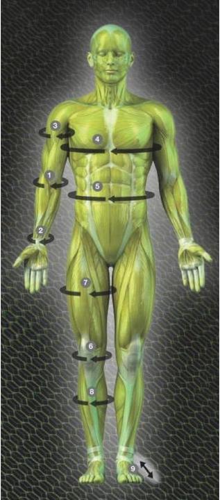 Produktbild Select Elastische Kniebandage (XL)