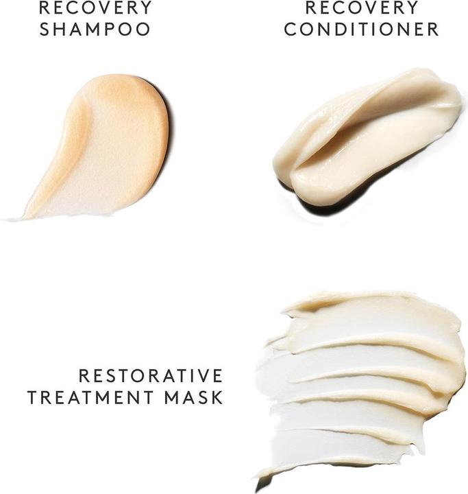 Produktbild Virtue Labs Recovery Discovery Kit (Haarpflege set)