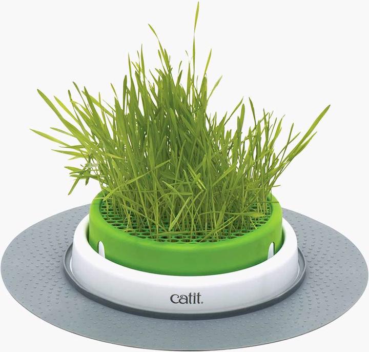Image du produit Catit Senses 2.0 Grass Planter (Adulte, 1 pcs, 73 g)