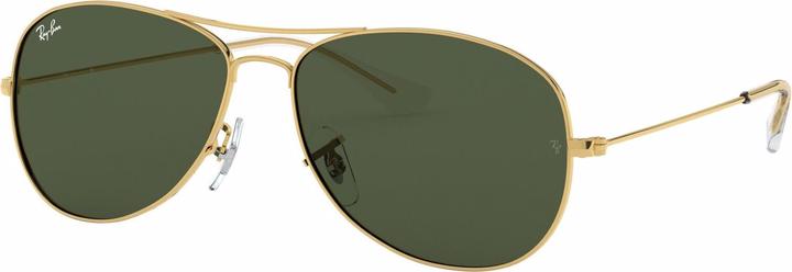 Ray Ban Cockpit