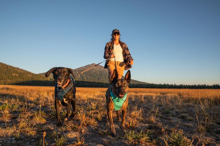 Produktbild Ruffwear Hundegeschirr Front Range Harness (M, Hund)