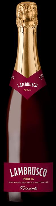 Image du produit Cantine Riunite Lambrusco Vino Rosso Frizzante (6 x 75 cl)