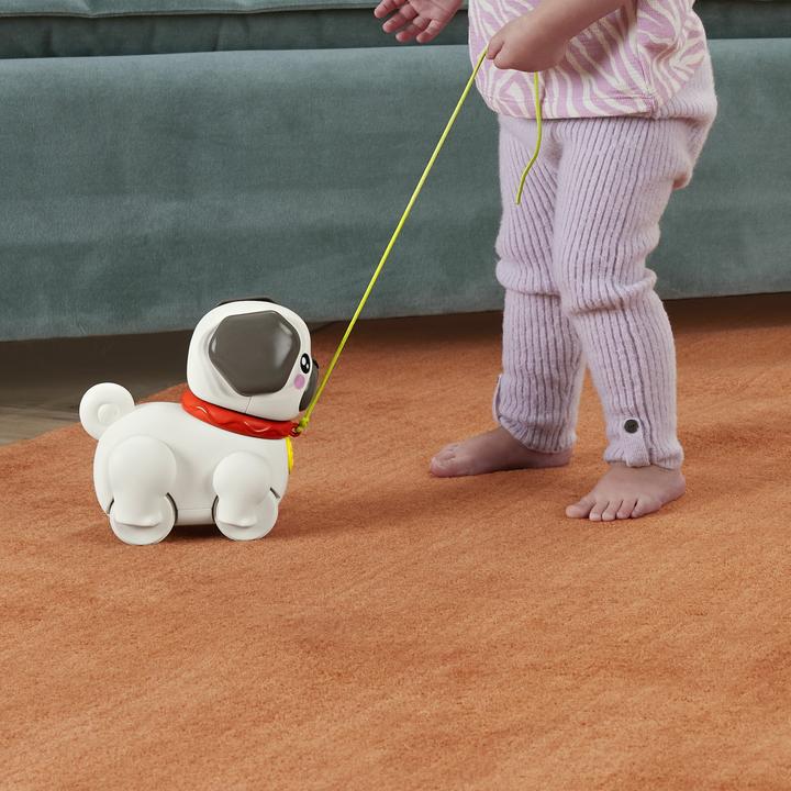 Produktbild Fisher-Price Spiel & Zieh Mops
