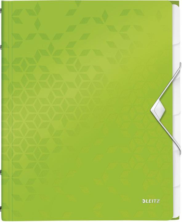 Image du produit Leitz Classeur WOW, DIN A4, PP, 6 compartiments, surface laminée vert métallique, structure de surface (A4, 1 x)