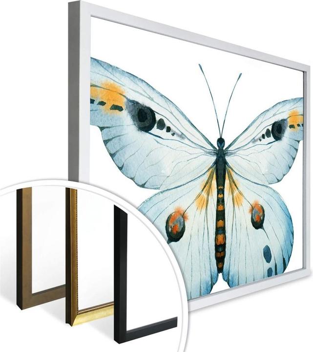 Produktbild Trenddeko Kvilis - Schmetterling 03 (40 x 30 cm)